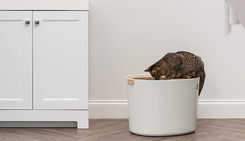 Best Dog Proof Litter Box