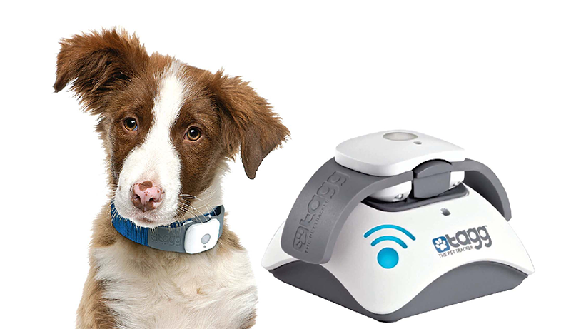 Best Hunting Dog GPS Tracking