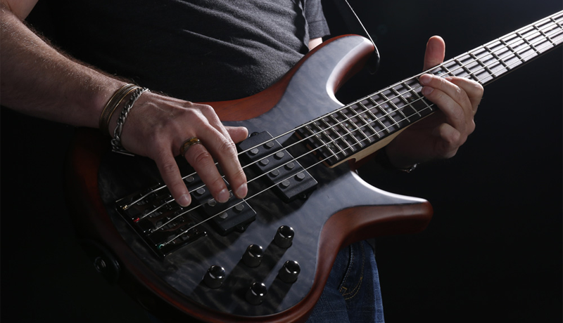 bass guitars