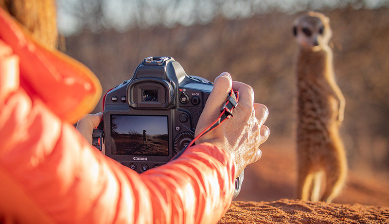 Best Cameras For Dance Photography