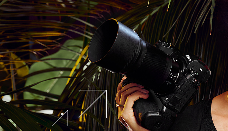 Best Nikon Wildlife Camera