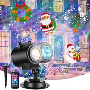 ENJOY PET Projector